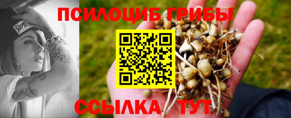 Псилоцибиновые грибы GOLDEN TEACHER Тихвин